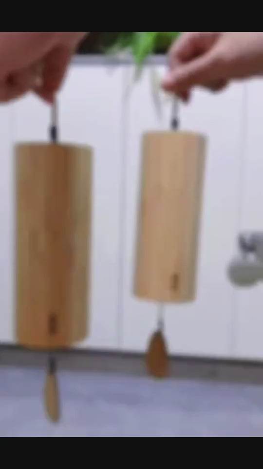 1.mp4